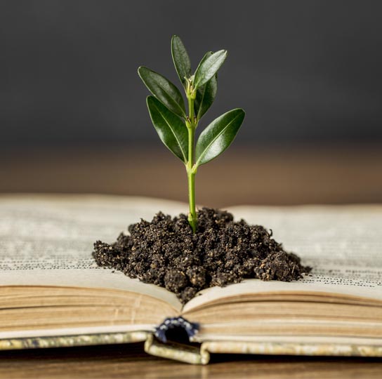 Daghøjskole Forside Billede Beskåret